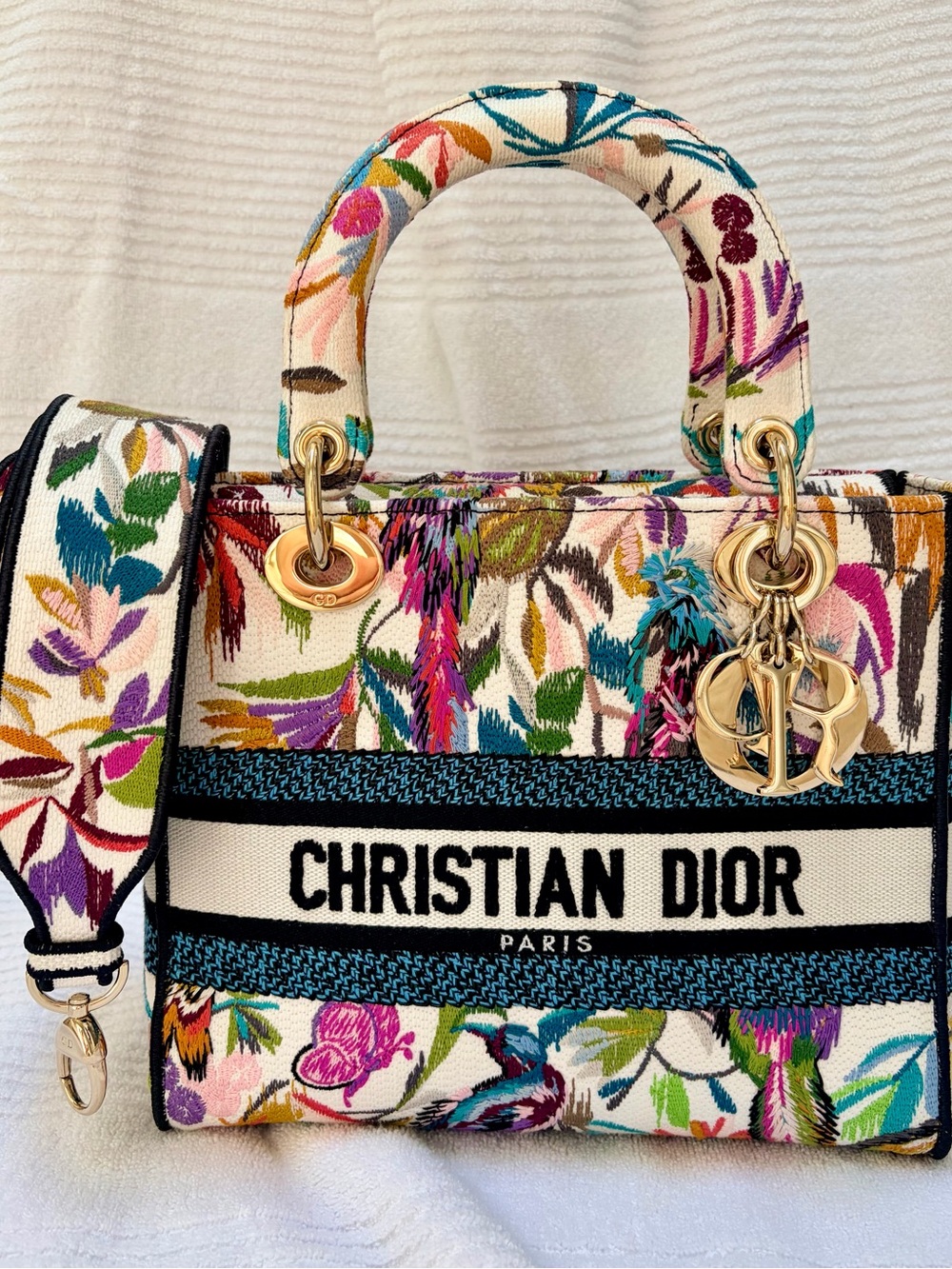 Lady D-Lite Multi color Lady Dior Bag